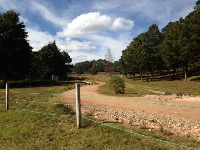 pista del centro